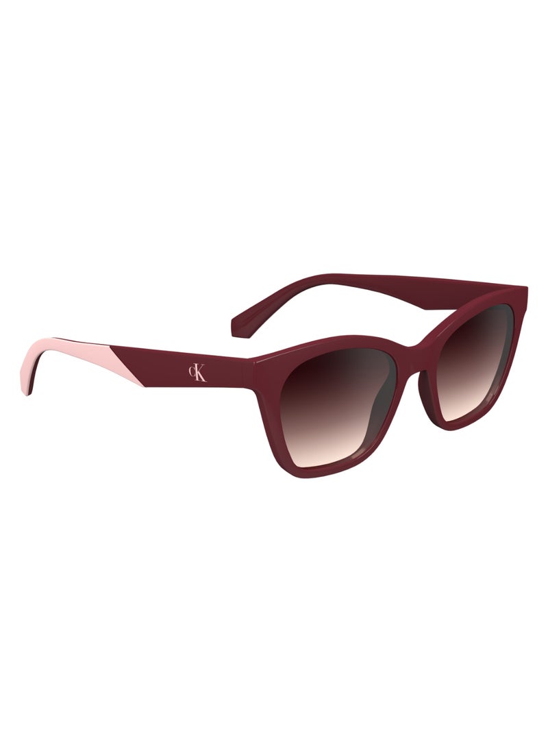 Calvin Klein Jeans FULL RIM BIO INJ-G820 INJECTED CALVIN KLEIN JEANS SUN CKJ24303S 4717 (605) BURGUNDY  - Image 3