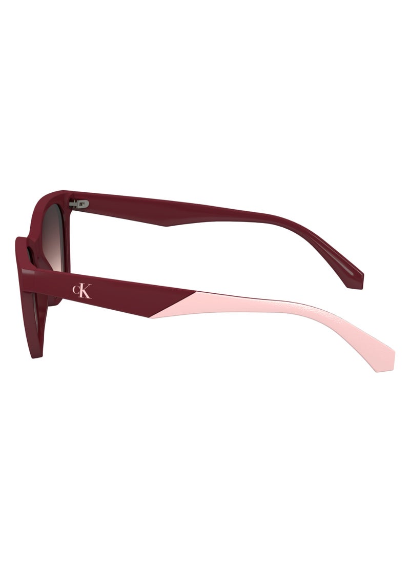Calvin Klein Jeans FULL RIM BIO INJ-G820 INJECTED CALVIN KLEIN JEANS SUN CKJ24303S 4717 (605) BURGUNDY  - Image 4