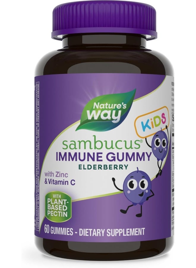 Nature's Way Sambucus Elderberry Kid's Immune Boost Gummies, 60 Gummies - Image 1