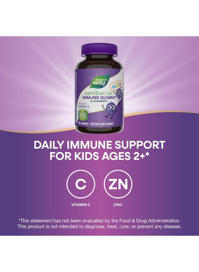 Nature's Way Sambucus Elderberry Kid's Immune Boost Gummies, 60 Gummies - Image 3