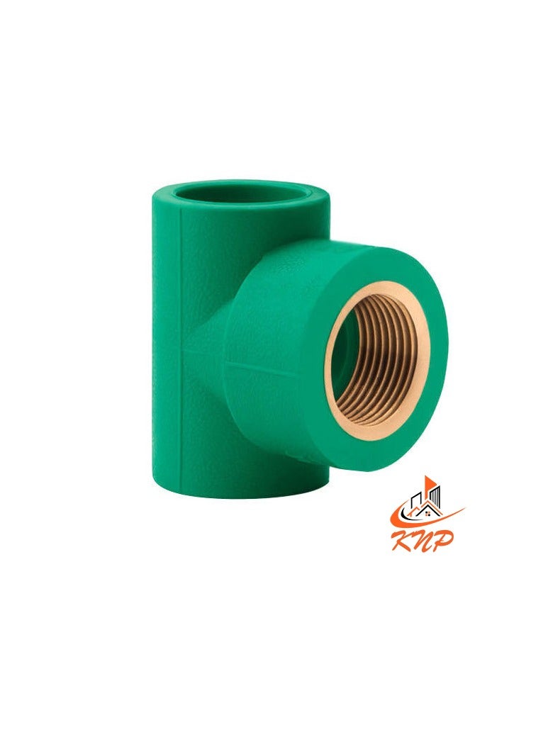 KNP PPR Female Tee 1/2" X 20mm - Image 3