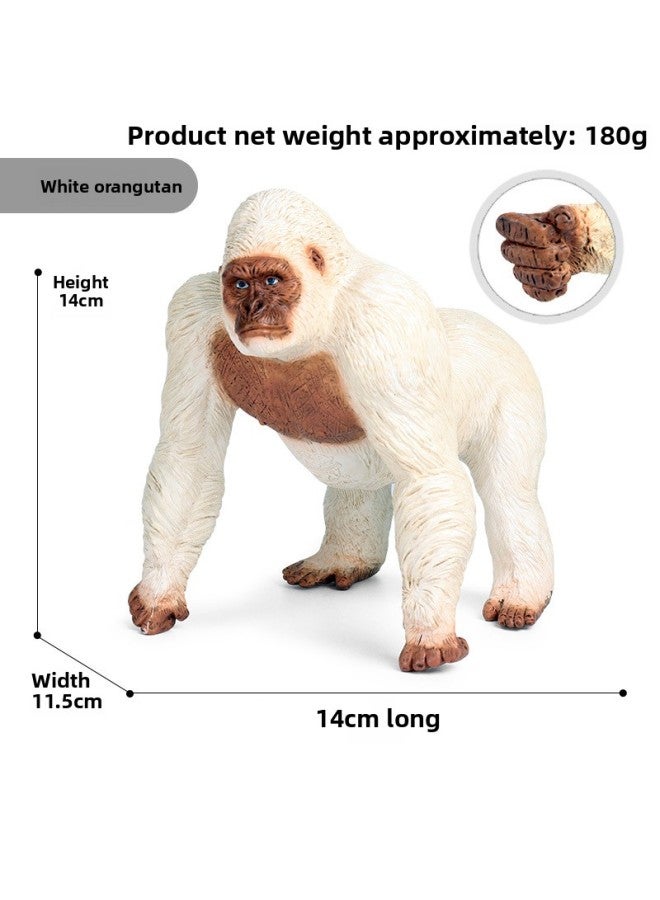 Animal Model Soft Glue Marine Life Simulation Soft Glue Dinosaur Toy Deng's Fish Sliding Toothosaurus Swollen Head Dragon Thick Nose Dragon-Color:X159 Soft Glue Filled Cotton White Orangutan - Image 1
