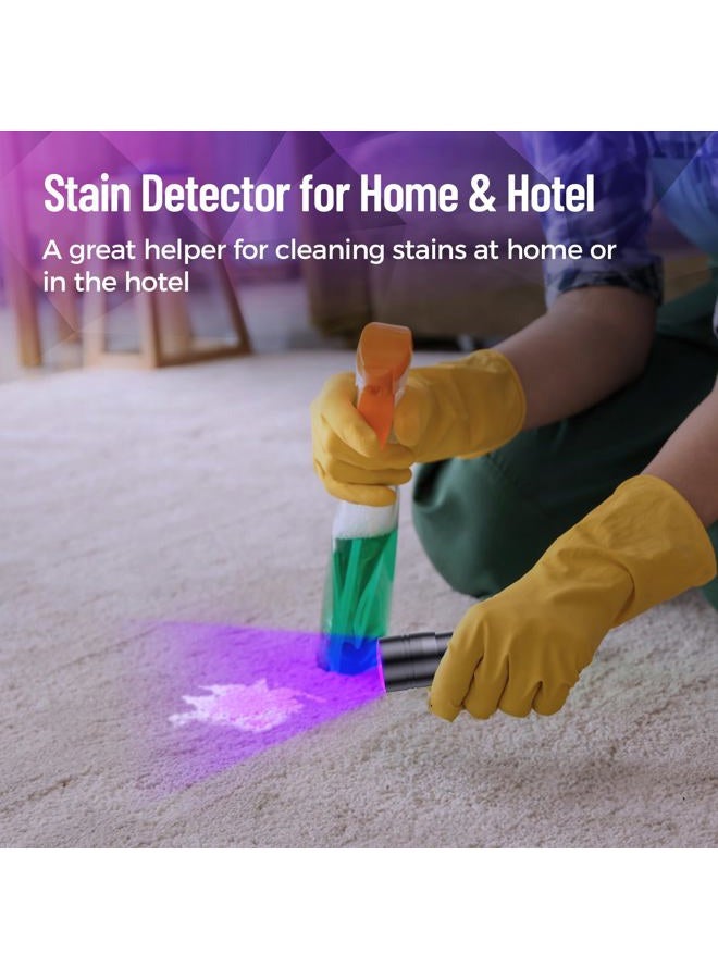 Rechoo Black Light UV Flashlight 2 Pack, 12 LED 395nm UV Flashlight, Portable Mini UV Light Waterproof, Blacklight for Pet Urine Detection, Dry Stains, Bed Bug, Fluorescent Agent (Batteries not included) - Image 5