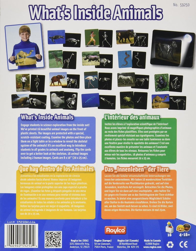 Roylco What's Inside Animals Flash Cards - Educational Science Tool for Kids - Image 2