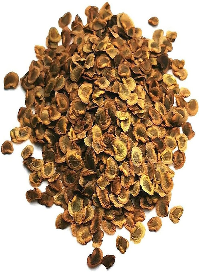 GGOOT Yellow Rattle Flower Seeds, Rhinanthus Minor, Beautiful Flowers for Home Garden Planting Seeds (2 Gram) - Image 2