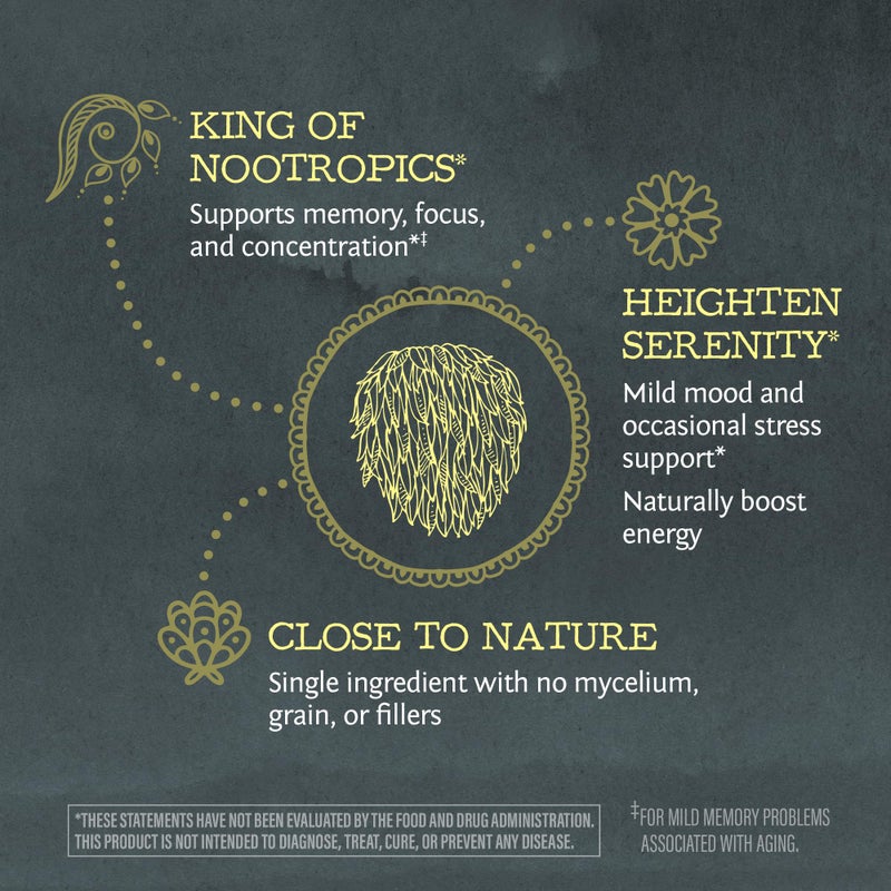 Sunwarrior Lions Mane Supplement Organic Mushroom Powder | Lion's Mane Powder Focus Supplement Mushroom Tea | 150g Pouch 60 Servings | Be Well - Image 4