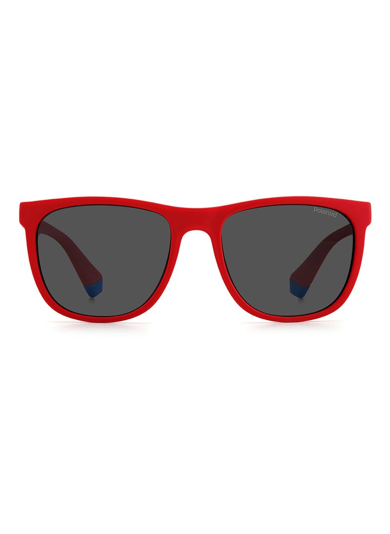 Square Sunglasses Pld 8049/S Red Blue 49 - pzsku/Z1146399B0E470E078C6FZ/45/_/1671601222/cae7bdaa-80ba-4eb2-ac11-6710f9d57464