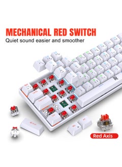 Rock Pow ROCK POW 60% Arabic English Mechanical Gaming Keyboard, 63keys RGB Backlit Ultra-Compact Mini Keyboard, Waterproof Mini Compact Keyboard for PC/Mac Gamer, Typist, Trip Hot Swappable Red Switch  - Image 2