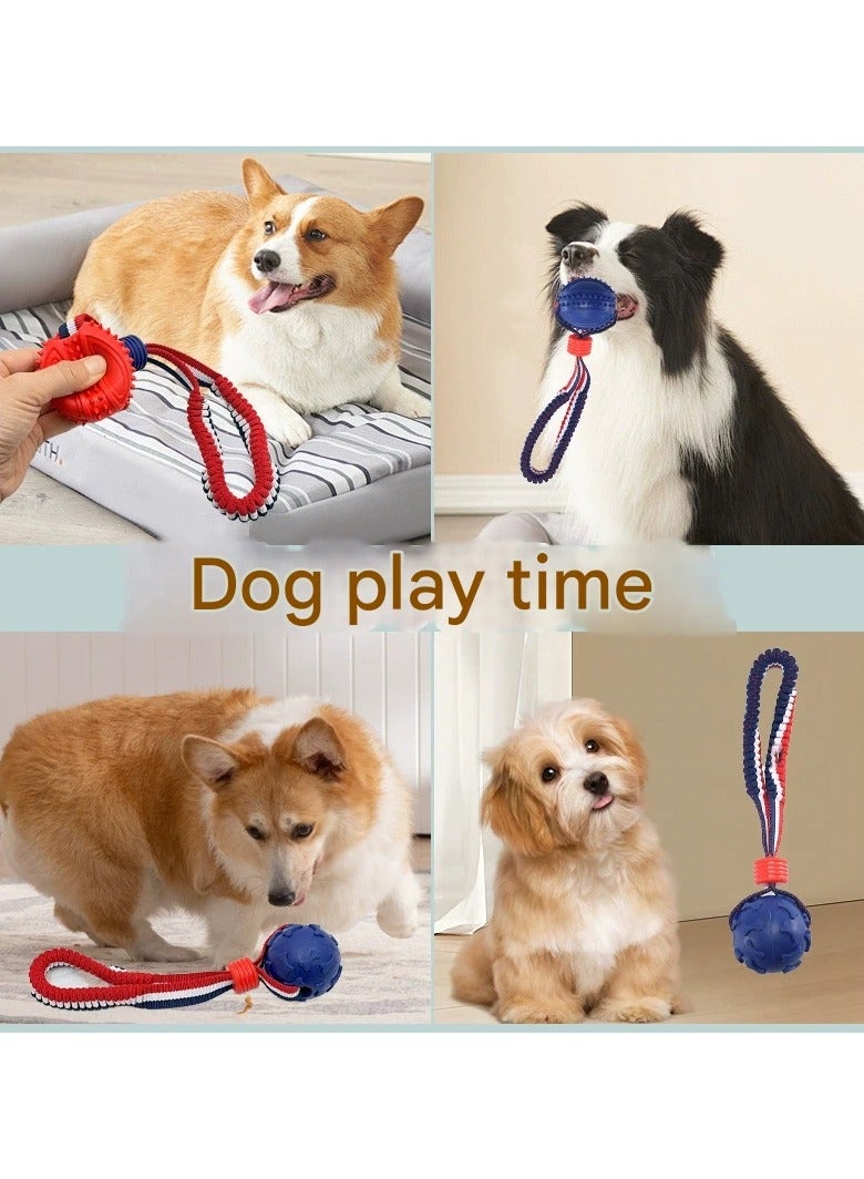 Dog's Bite-resistant Teeth-grinding Training Ball with Elastic Rope – Great Play and Training Partner for Dogs - Image 4