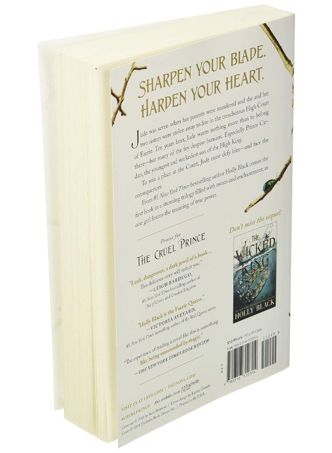 The Cruel Prince - Image 4