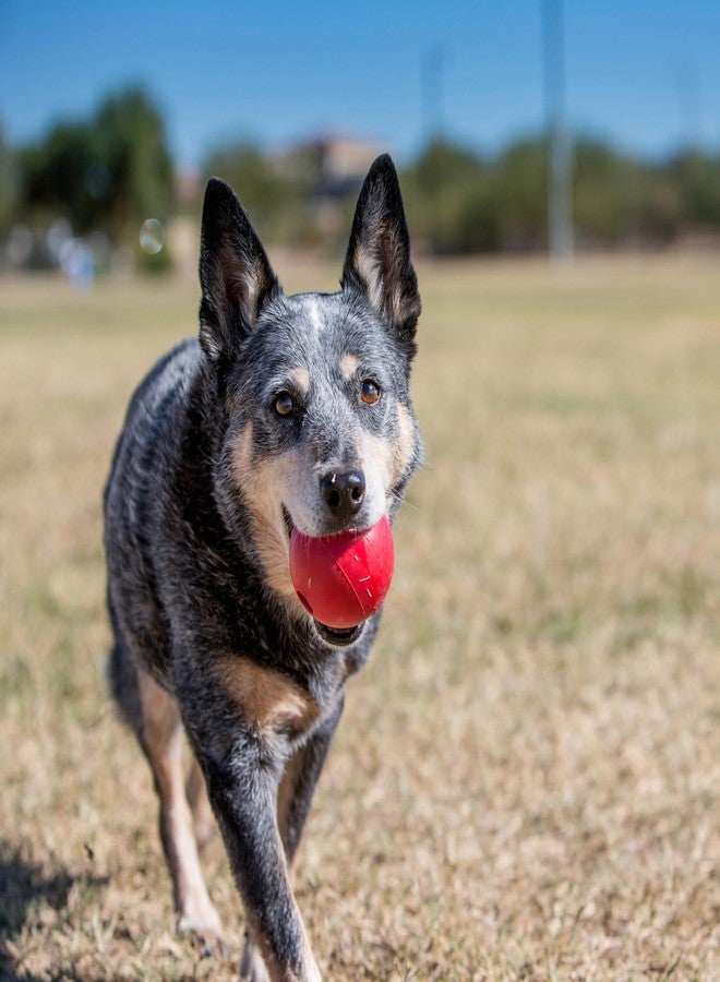 KONG Ball with Hole - Durable Dog Fetch Toy for Training, Interactive Playtime & More - Classic KONG Natural Rubber Ball - Red - For Small Dogs - Image 4
