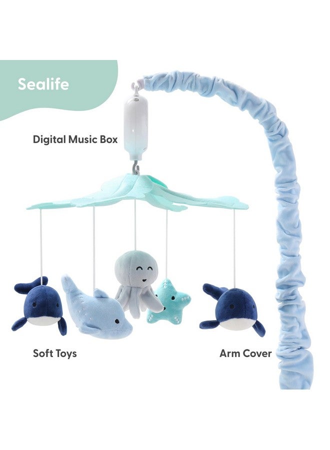 The Peanut Shell موبايل سرير بيبي من بي نات شيل للأولاد أو البنات - موبايل موسيقي للسرير باللونين الأزرق الفاتح والداكن مع 12 لحن مهدئ، ديكور بحري لغرفة الأطفال - Image 2