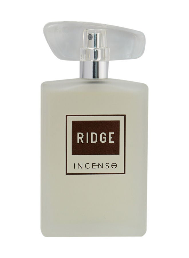 انسينسو إنسينسو ريدج EDP 100 مل - Image 1
