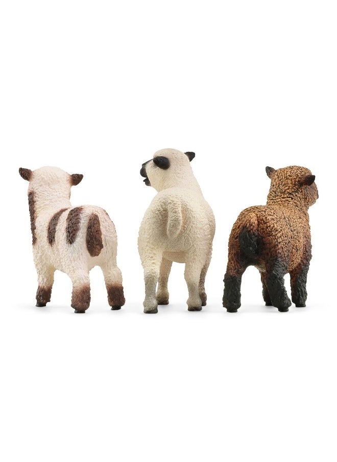 Schleich Schleich Farm World Sheep Friends Playset (3 Pieces)  - Image 2