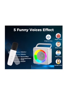 SDRD SD-508 New Karaoke Home KTV Outdoor Portable Bluetooth speaker with Dual Wireless Microphones  - Image 3