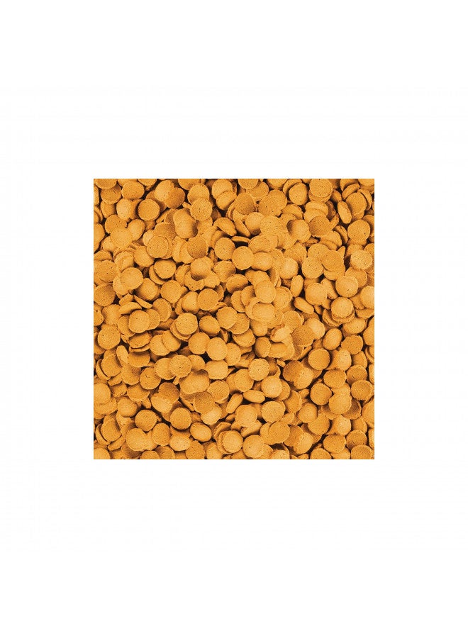 Tetra ShrimpWafers Complete Diet for Catfish and Loaches 3 Ounce - Image 3