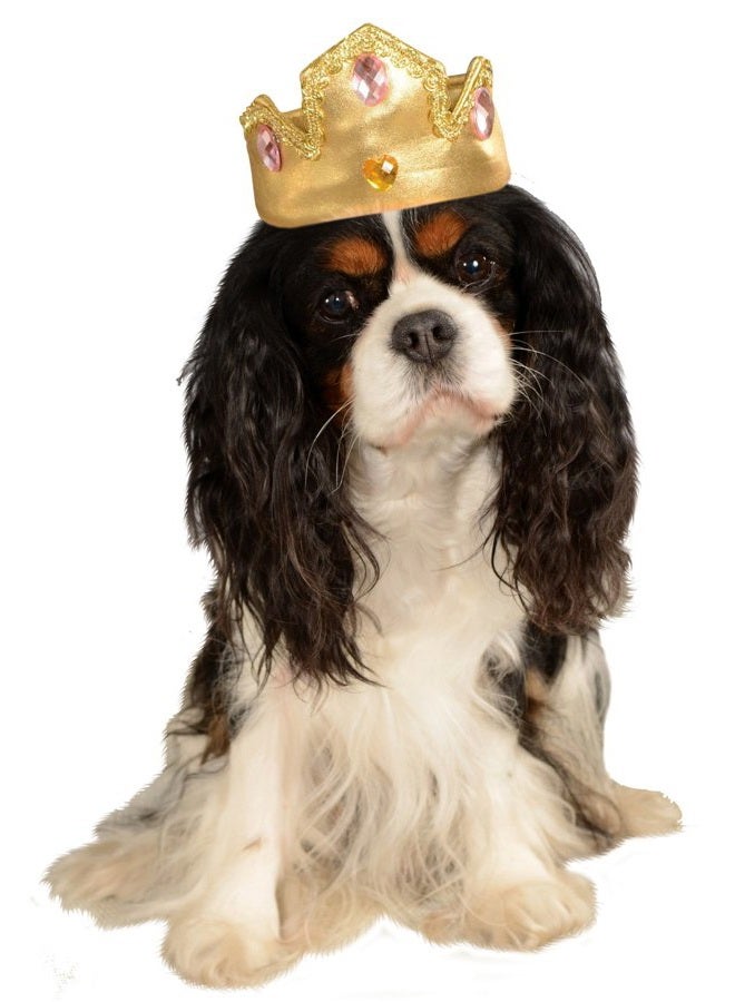 RUBIE'S 886535_S-M Gold Tiara with Pink Stones Pet Costume Accessory, Small/Medium - Image 1