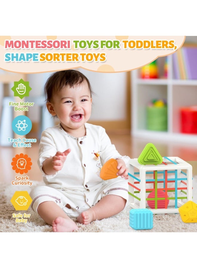 ARGT Montessori Toys for 1 Year Old,Baby Sorter Toy Colorful Cube and 6 Pcs Multi Sensory Shape, Toddler Developmental Learning Toys Birthday Gifts,Baby Toys 6-12-18 Months - Image 5