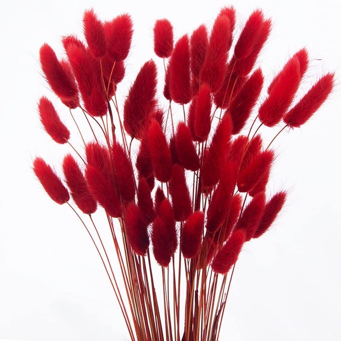 60PCS DRIED BUNNY TAILS FLOWERS RED PAMPAS GRASS NATURAL DRIED FLORAL ARRANGEMENT DRY FLOWERS FOR CHRISTMAS HALLOWEEN BOHO DECOR HOME WEDDING DIY CRAFT DECORATION 16