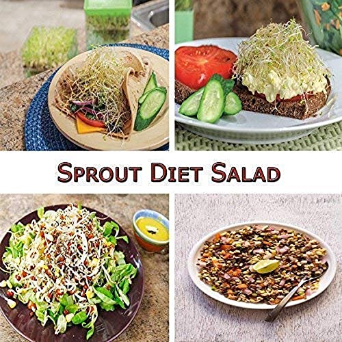 RIOMAX Sprout Maker with 4 Container | Home Making Fresh Sprouts Beans Sprout Maker for Home (4 Comartment) - Image 5