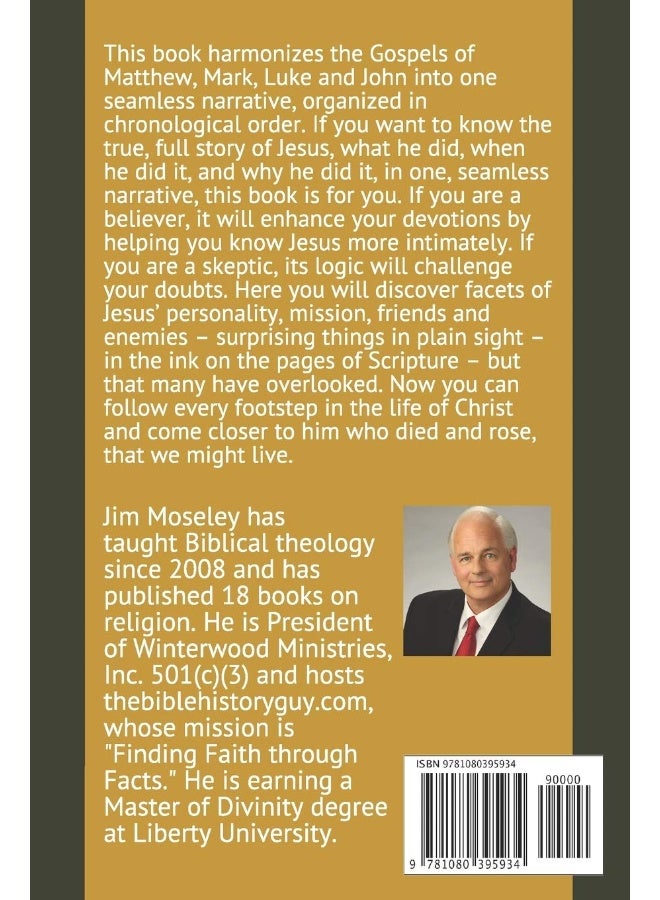 The History of Jesus: The Life and Times of the Son of Man  - Image 2