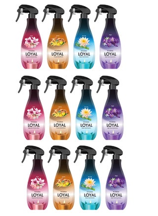 معطر جو لويال 450 مل 12 علبة في الكرتونة - pzsku/Z114DDAFE70E271F63686Z/45/_/1668173982/4555e022-717d-4ef1-b252-e7685ae9f842