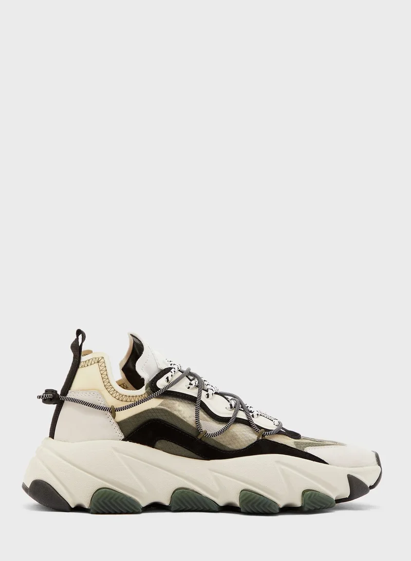 Ash Extra Bis Low Top Sneakers