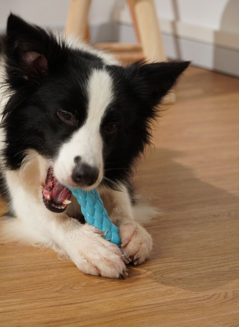 GULFLINK Non Toxic Natural Rubber Squeaky Toy for Dogs Blue - Image 4