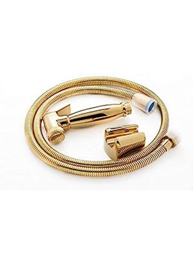 Generic Hand Sprayer Gold 
