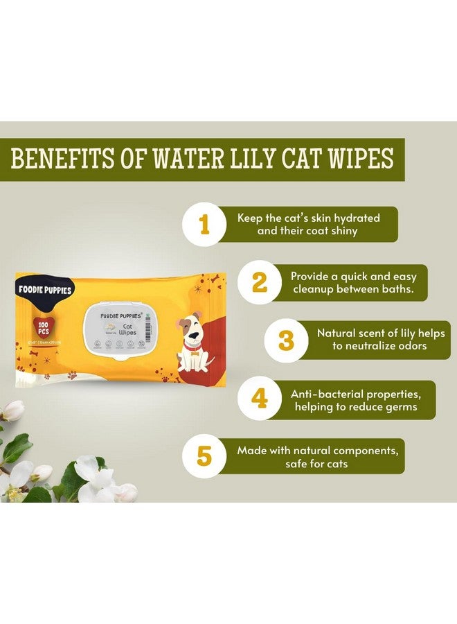 Anti-Bacterial Pet Wet Wipes For Cats & Kittens | (100 Wipes X 1Pack), 15Cm X 20Cm | Fresh Water Lily | Paraben Free & Cruelty Free | Alcohol Free | Daily Use - Image 2