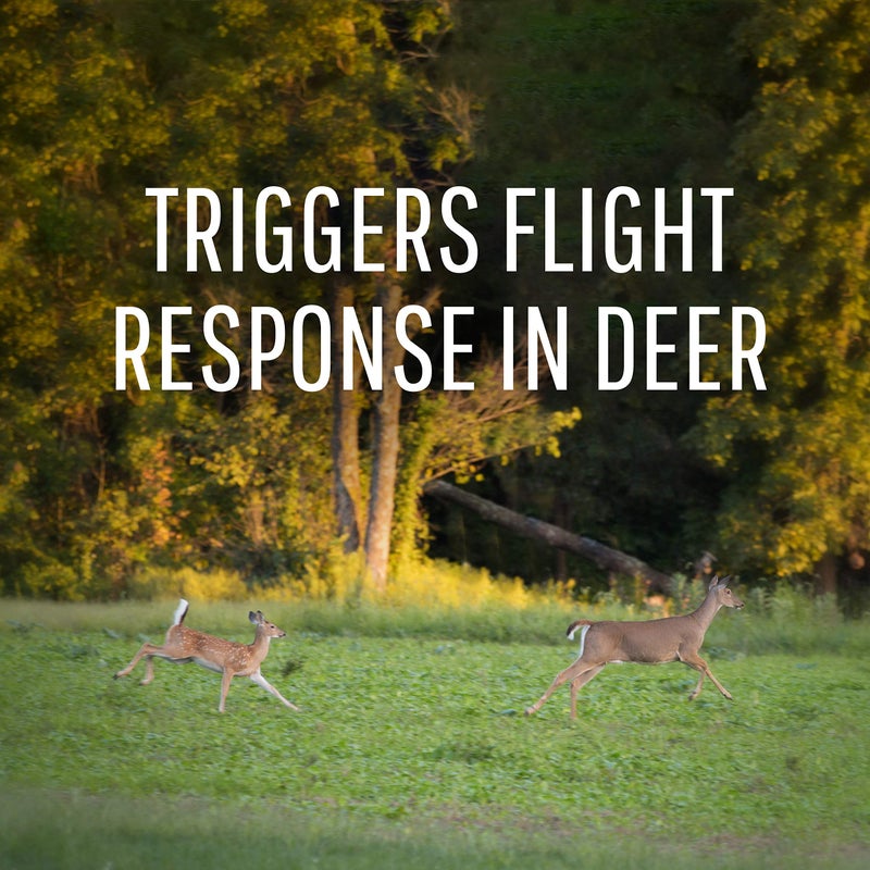 Safer Brand Deer-Off Deer Repellent Stations - 6 Waterproof Repelling Stakes for Gardens and Lawns - All Season Protection - 5962 - 6 Pack - Image 2