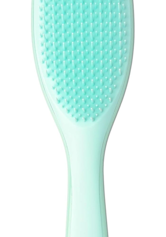Glitters فرشاة شعر Paddle Detangling Glitters للنساء والأطفال - شعيرات مرنة لطيفة للشعر الرطب والجاف (أخضر) - Image 1