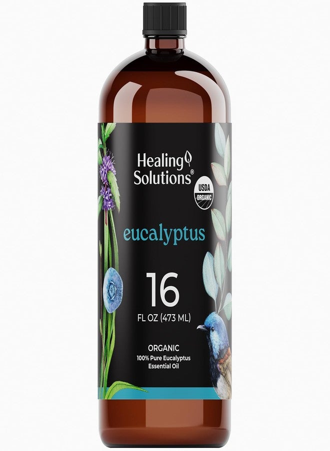 Healing Solutions Organic Eucalyptus Essential Oil 16 Fl Oz - Pure Eucalyptus Oil for Diffusers, Sprays, and Candle Making - Image 1