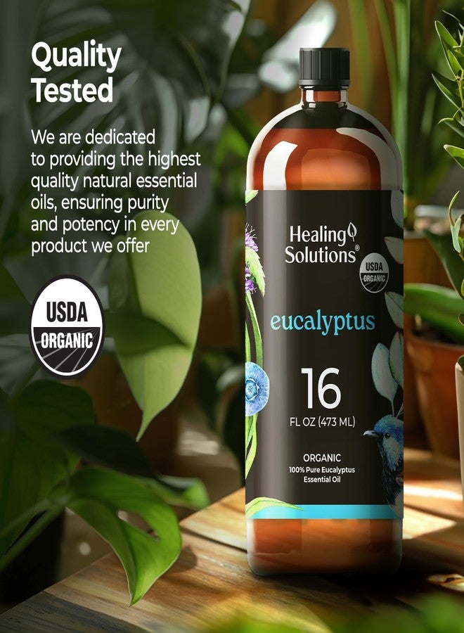 Healing Solutions Organic Eucalyptus Essential Oil 16 Fl Oz - Pure Eucalyptus Oil for Diffusers, Sprays, and Candle Making - Image 4