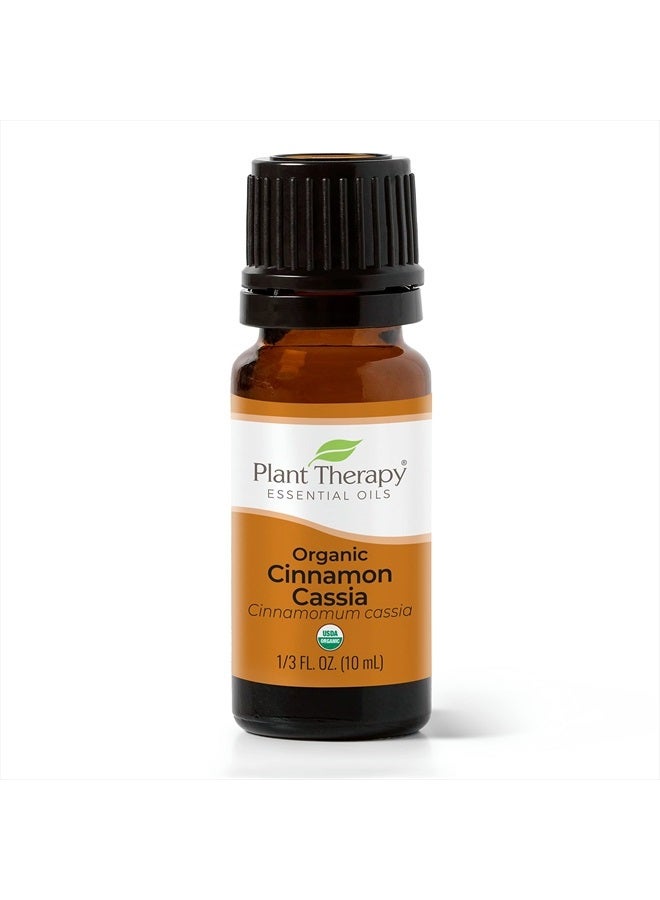 USDA Certified Organic Cinnamon Cassia Essential Oil 10 mL (1/3 oz) 100% Pure, Undiluted, Therapeutic Grade