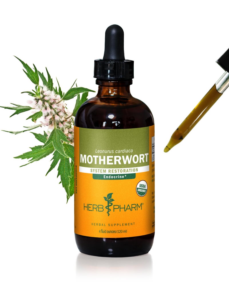 Herb Pharm Certified Organic Motherwort Liquid Extract for Endocrine System Support - 4 Ounce - Image 1