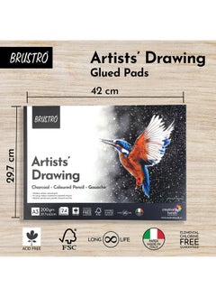 BRUSTRO BRUSTRO Artist Drawing Glued Pad | 200 GSM, A3, 24 Sheets | Natural Grain, Medium Surface, Ideal for Charcoal, Coloured Pencils, Gouche, Pen, Pastels, Ink.  - Image 4