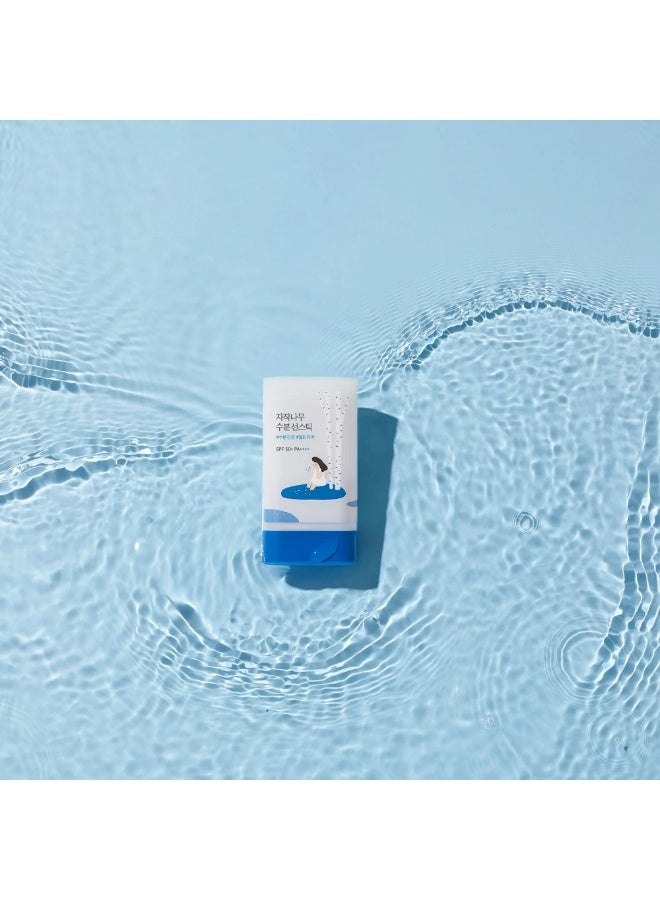 راوند لاب عصا مرطبة للشمس بخلاصة البتولا من راوند لاب، بعامل حماية من الشمس 50+ - لجميع أنواع البشرة، 19 جرام - Image 2