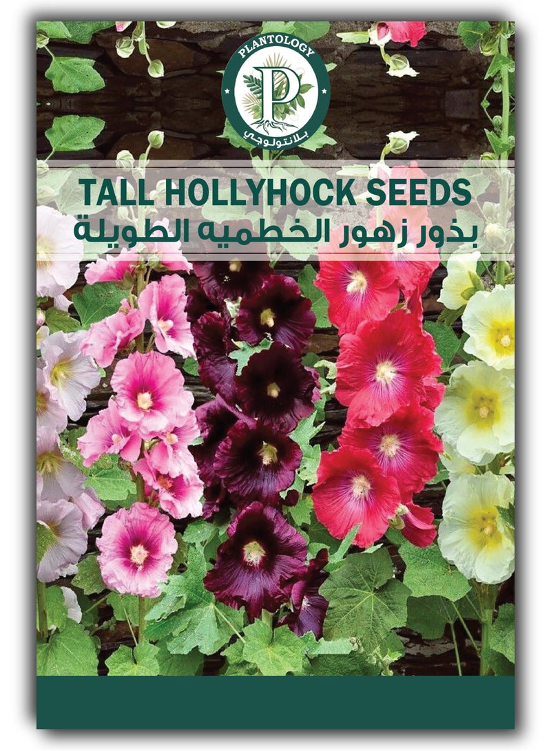 Tall Hollyhock Flower Seeds Mix – Beautiful Tall Garden Flowers