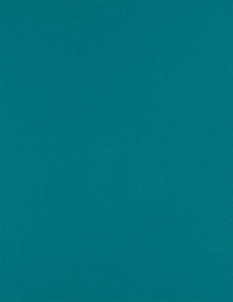 LUXPaper 8.5" x 11" Cardstock | Letter Size | Teal | 100lb. Cover (183lb. Text) | 50 Qty - Image 1