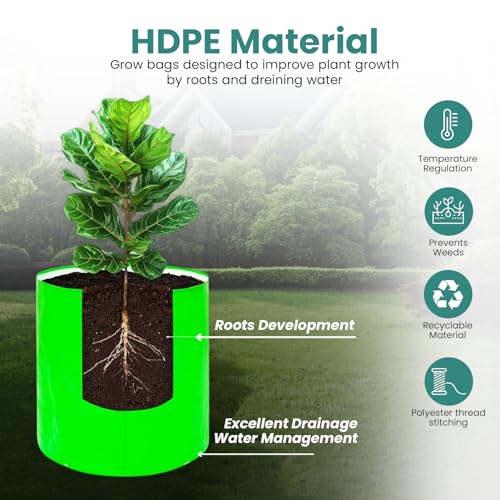 BIANCO Grow Bags for Gardening Vegetables Herbs & Flowers (Set of 4) Planter Bags for Home Balcony Terrace & Outdoor Farming (9 Inch, 250gsm) Heavy Duty Reusable Gallon Grow Bags - Image 5