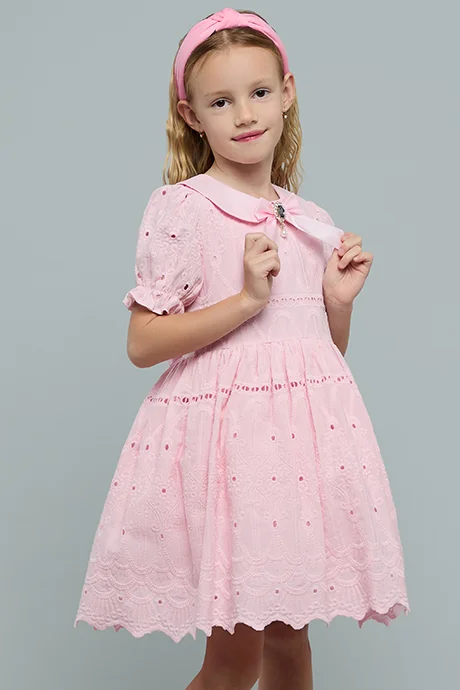 R&B Embroidered Dress with Peter Pan Collar and Puff Sleeves