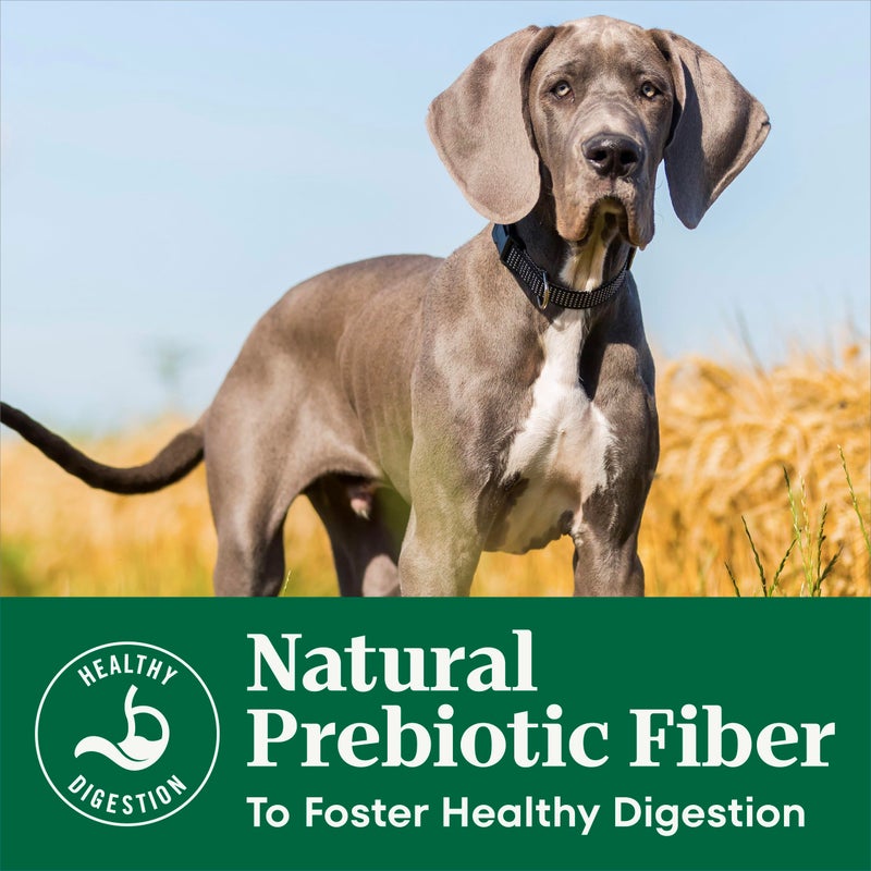 Nutro Natural Choice Dry Dog Food, Adult Dog Food Dry Lamb and Brown Rice Recipe, 12 lbs. - Image 5