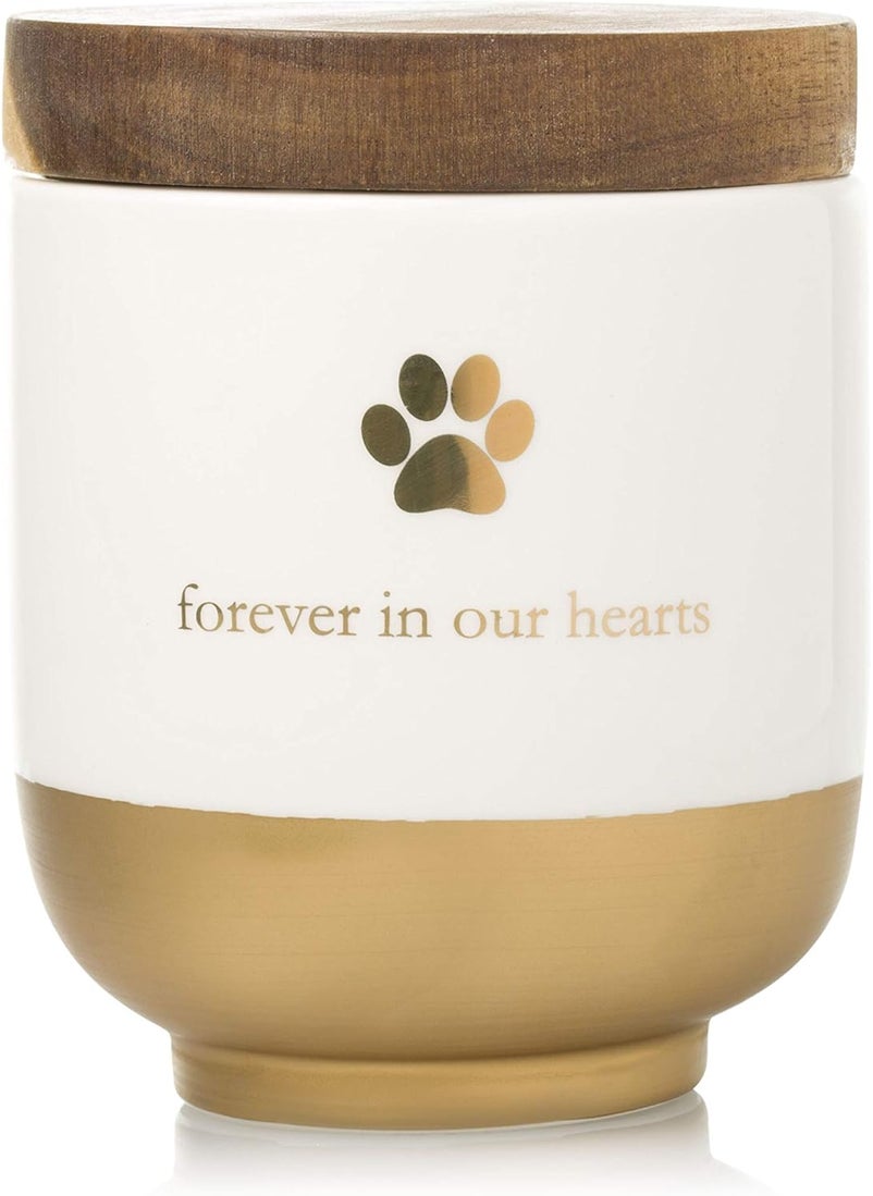pearhead Pearhead Pet Ceramic Forever in Our Hearts Urn Pet Memorial Dog Or Cat Keepsake Urn Rainbow Bridge Gold  - Image 1
