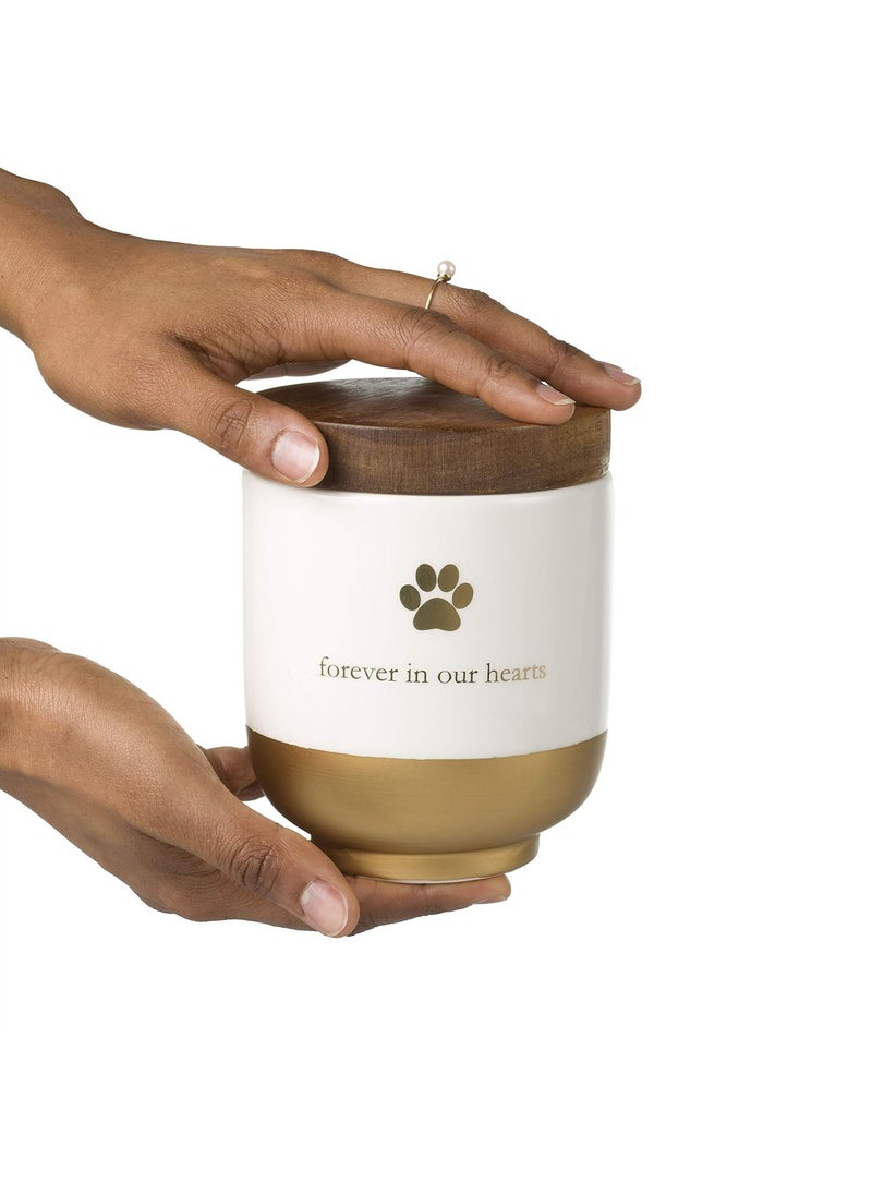 pearhead Pearhead Pet Ceramic Forever in Our Hearts Urn Pet Memorial Dog Or Cat Keepsake Urn Rainbow Bridge Gold  - Image 2