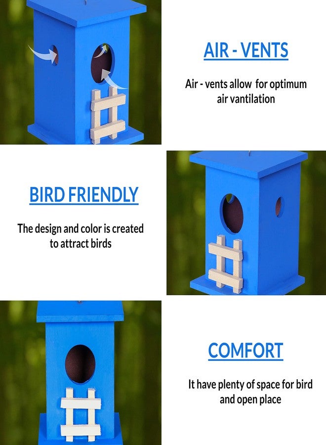 Cket Bird House Nest Breeding Box for Sparrow, Hummingbird, Kingfisher for Balcony and Garden Hanging Wooden Water Resistant with Hanging and Wall Patch (Blue) - Image 3