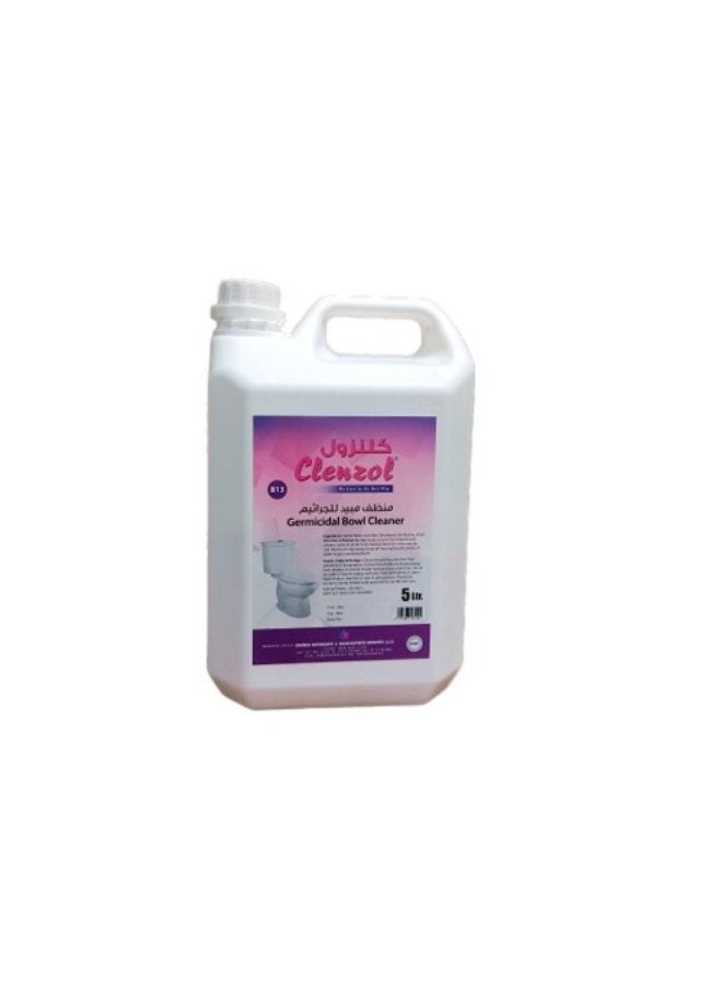 Germicidal Bowl Cleaner - Powerful Toilet Disinfectant for a Spotless and Hygienic Bathroom
