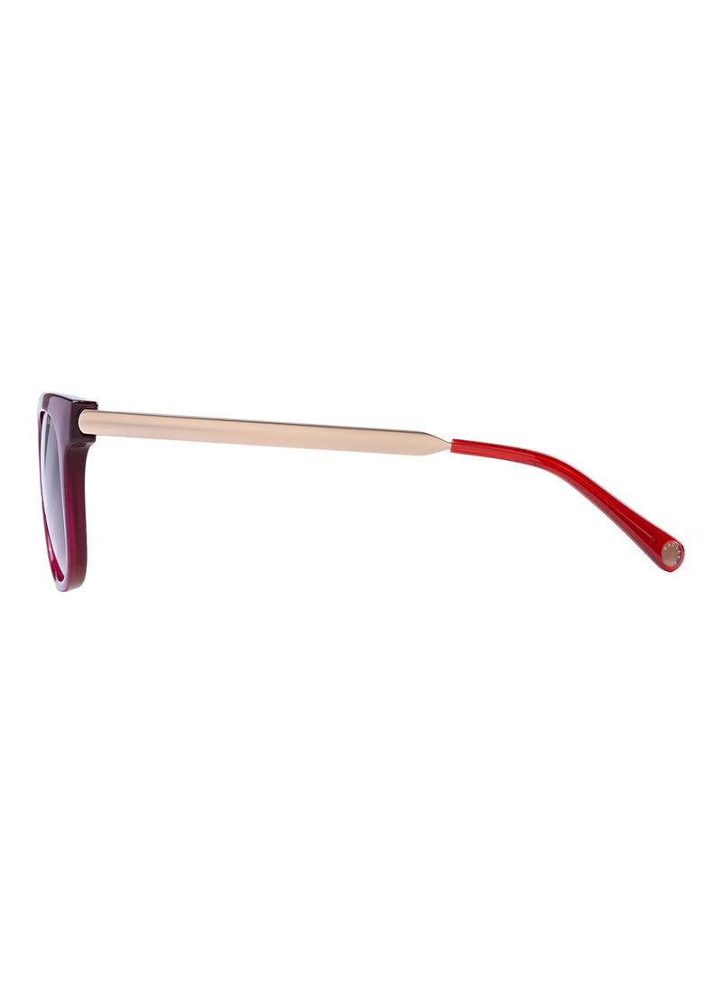 Radley نظارات شمسية مستديرة للنساء RDS-6510 بني 49 مم - Image 3