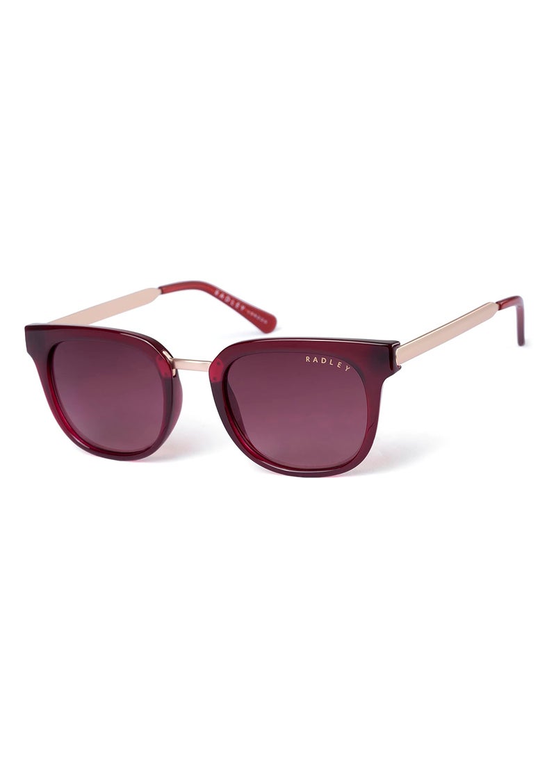 Radley نظارات شمسية مستديرة للنساء RDS-6510 بني 49 مم - Image 1