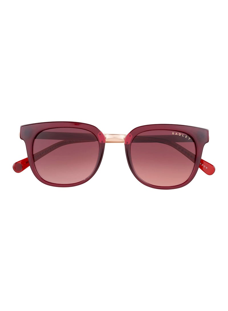 Radley نظارات شمسية مستديرة للنساء RDS-6510 بني 49 مم - Image 2